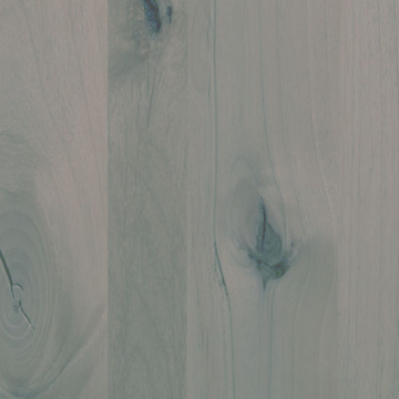 alder-grey