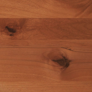 alder-red